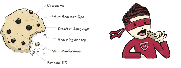 Illustration of a browser cookie explained with a chocolate chip cookie. There's also a cartoon ninja eating cookies, used elsewhere in the policy.