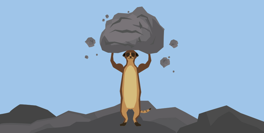 A Meerkat Lifting a Heavy Rock