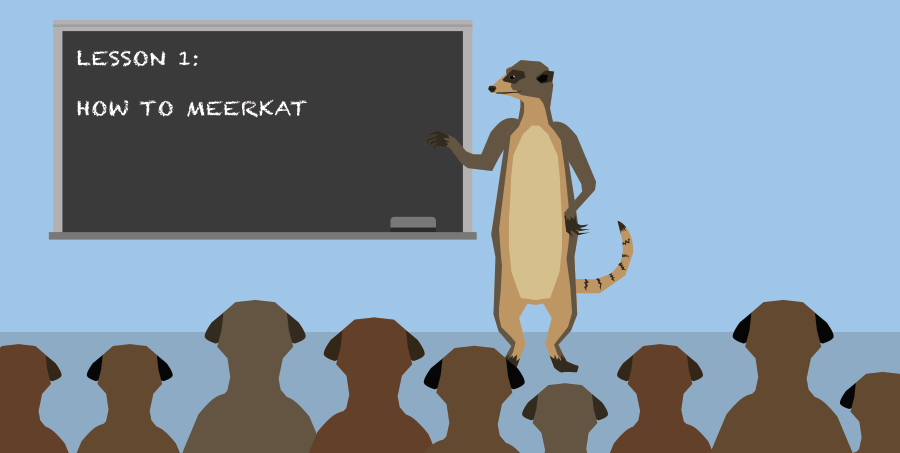 Meearkats teaching each other